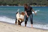 ADULTE ET CHIEN 569